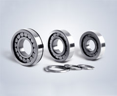 圓柱滾(gun)子軸承(cheng)--鷹牌軸(zhou)承