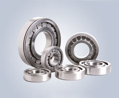 圓柱滾子(zi)軸承-鷹牌(pai)軸承